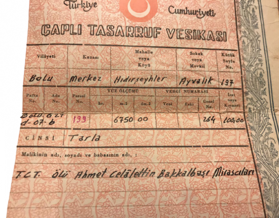 1967 TARİHLİ TURKİYE CUMHURİYETİ CAPLI TASARRUF VESİKASI