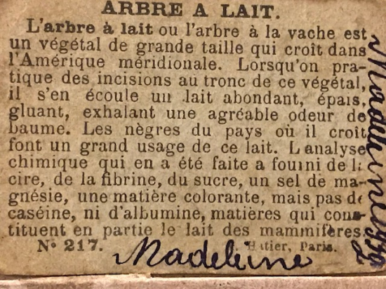1900 YILLARDA BON POINT ARBERE A LAIT FRANSADA OKULDA SINIFDA BAŞARI GÖSTEREN TALEBELERE VERİLEN KART